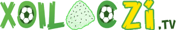 địch
